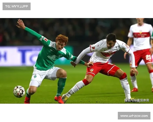 可持续发展：德甲俱乐部如何平衡生态与赛事安全